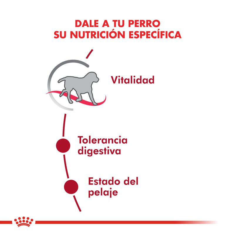 Alimento-Royal-Canin-para-Perro-Medium-Adulto--7-3-Kg-foto-3.jpg