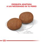 Alimento-Royal-Canin-para-Perro-Medium-Adulto--7-3-Kg-foto-5.jpg