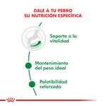 Alimento-Royal-Canin-para-Perro-Mini-Adult-8--1-Kg-foto-3.jpg
