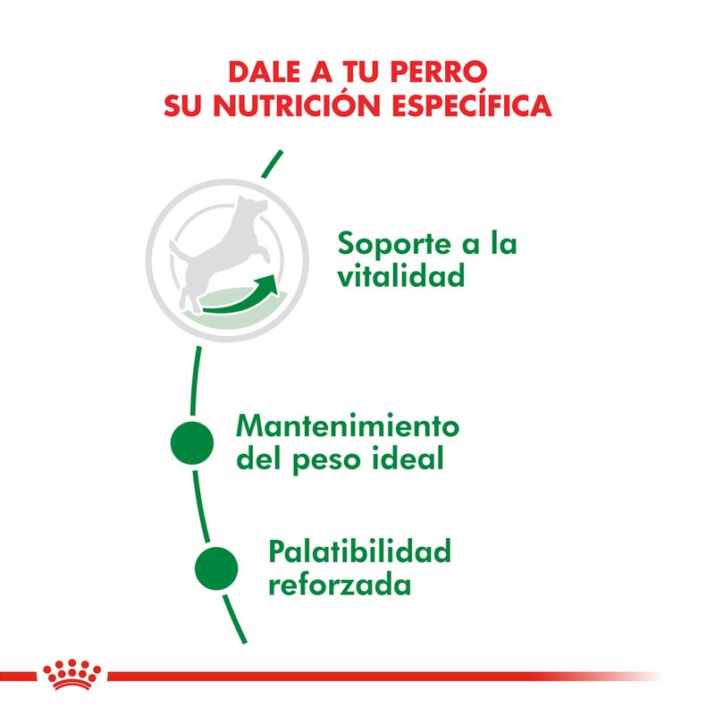 Alimento-Royal-Canin-para-Perro-Mini-Adult-8--1-Kg-foto-3.jpg