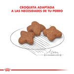Alimento-Royal-Canin-para-Perro-Mini-Adult-8--1-Kg-foto-5.jpg