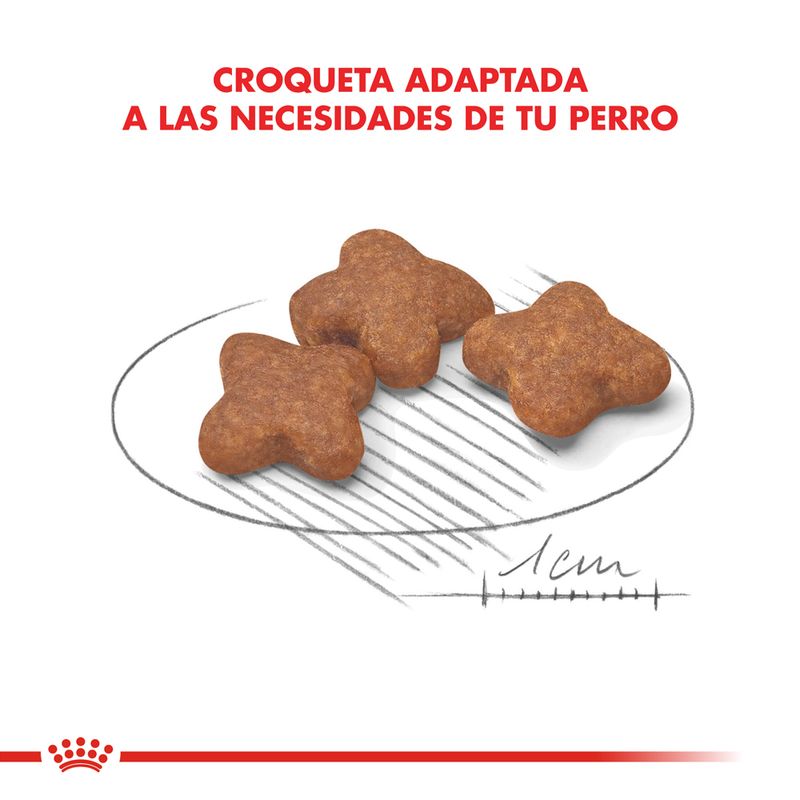 Alimento-Royal-Canin-para-Perro-Mini-Adult-8--1-Kg-foto-5.jpg