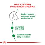 Alimento-Royal-Canin-Indoor-para-Perro-Mini-Adulto-1-Kg-foto-3.jpg