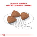 Alimento-Royal-Canin-Indoor-para-Perro-Mini-Adulto-1-Kg-foto-5.jpg