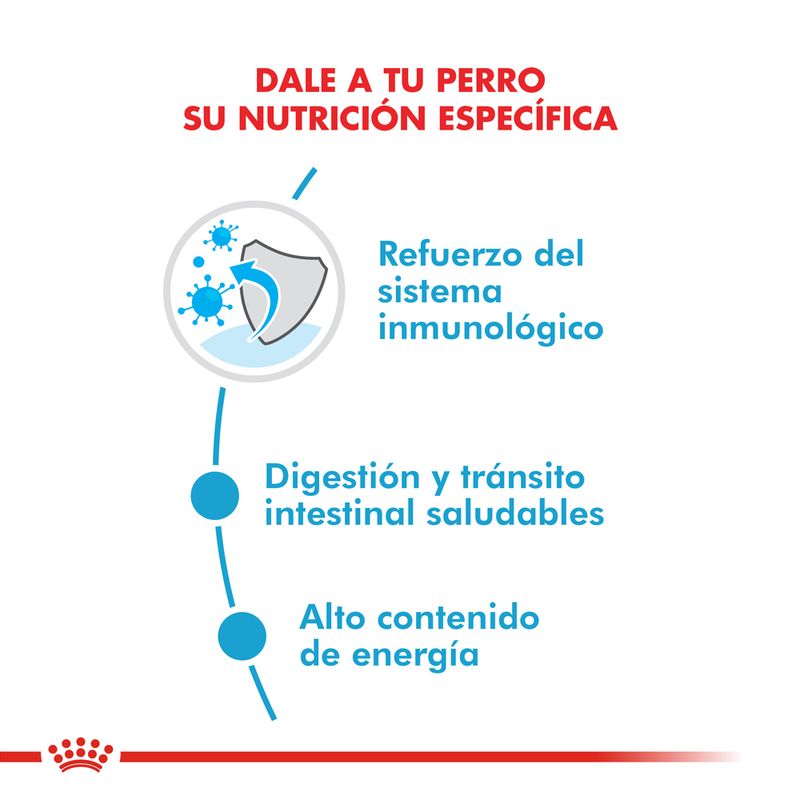 Royal-Canin-X-Small-Junior-1kg-foto-3.jpg