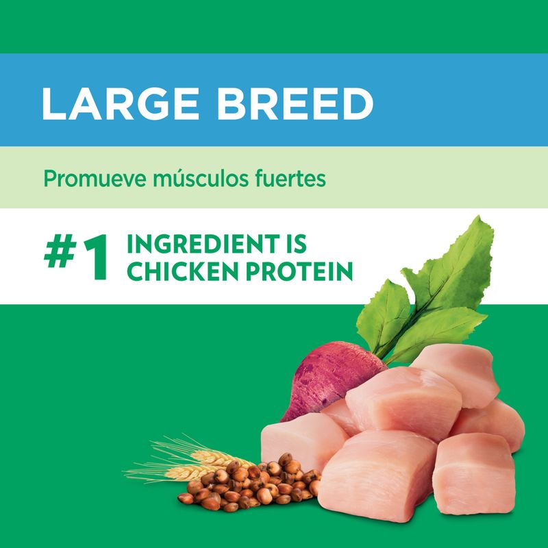 Iams-Adulto-Large---Giant-15-Kg-121009-3.jpg