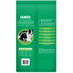 Iams-Adulto-Small---Medium-15-Kg-121010-2.jpg