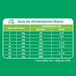 Iams-Adulto-Small---Medium-15-Kg-121010-4.jpg