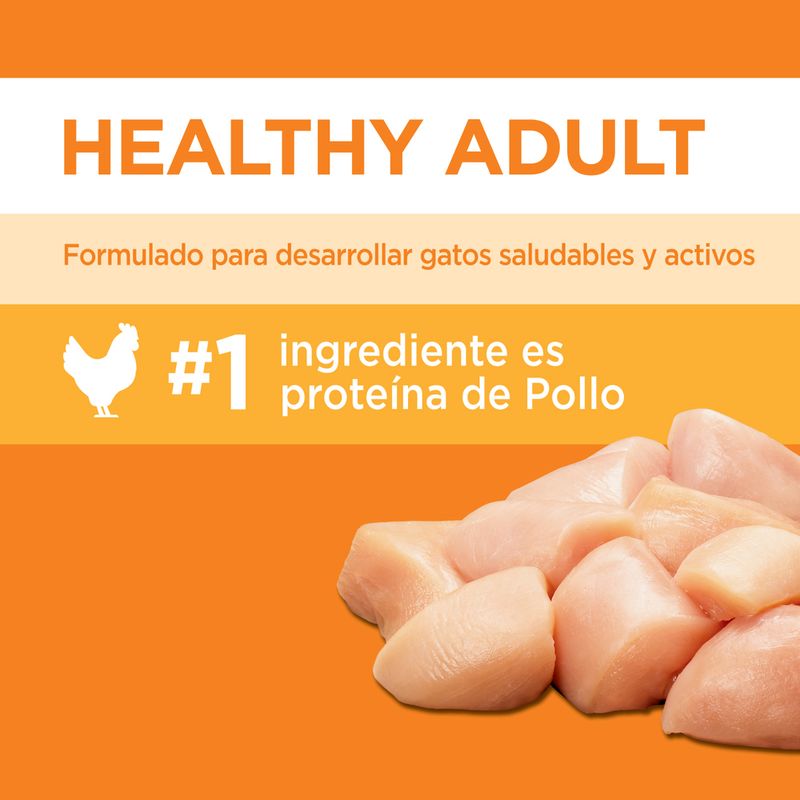 Iams-Gato-Chicken-1-Kg-121013-3.jpg