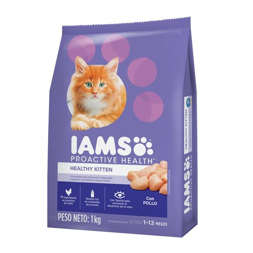 Iams Gato Kitten