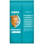 Iams-Gato-Light-1-Kg-121017-2.jpg