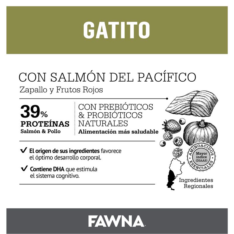 Placa-Fawna-Gatitos_Mesa-de-trabajo-1-copia-7