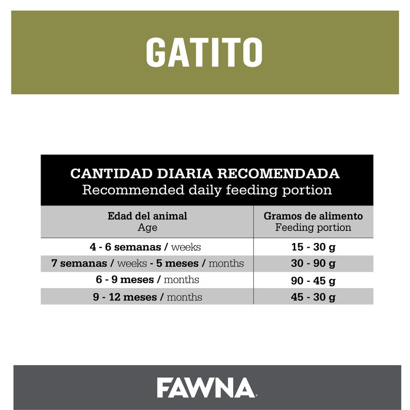 Placa-Fawna-Gatitos_Mesa-de-trabajo-1-copia-9