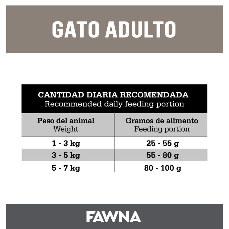 Placa-Fawna-Gato-adulto_Mesa-de-trabajo-1-copia-9