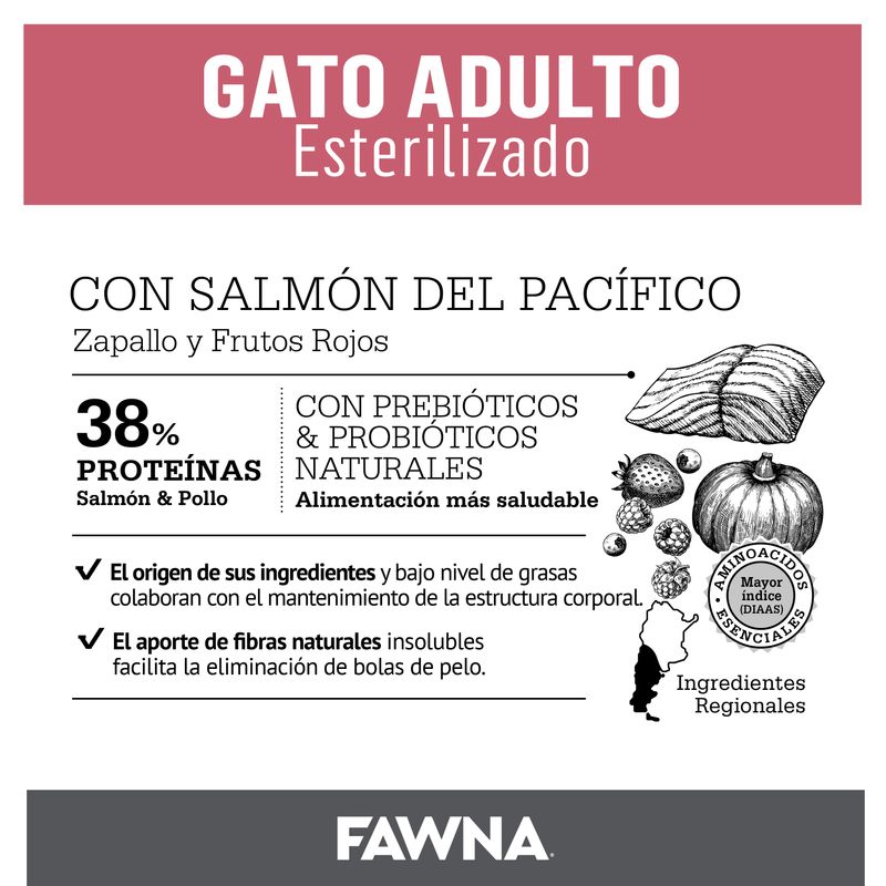 Placa-Fawna-Gato-esterilizado_Mesa-de-trabajo-1-copia-7