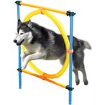 Set-Pawise-Agility-Bastones-12-Unid.-237630-2.jpg