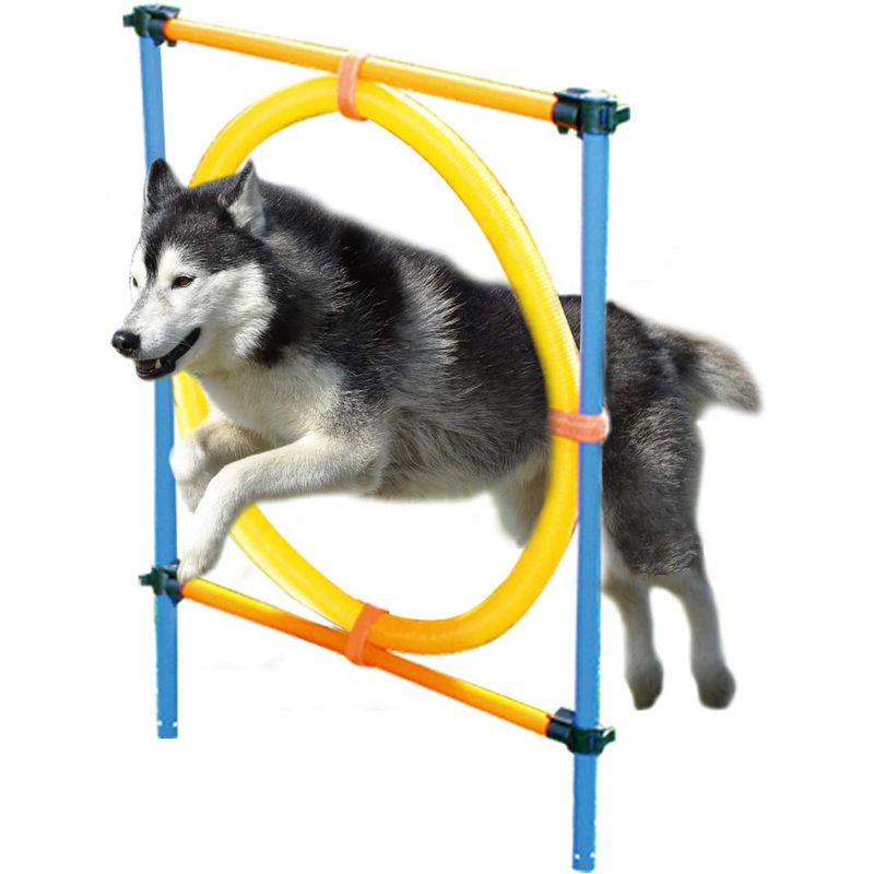 Set-Pawise-Agility-Bastones-12-Unid.-237630-2.jpg