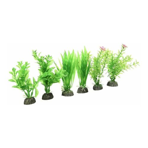 Aqua Plants Pennplax x6