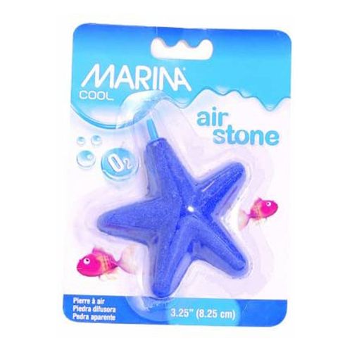Adorno Marina Cool Dibujo Estrella de Mar