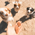 Snacks-Mon-Ami-Churrasquito-Grille-75-Gr-233006-4.png