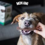 Snacks-Mon-Ami-Dental-Stick-75-Gr-233009-5.jpg