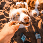 Snacks-Mon-Ami-Dental-Clean-75-Gr-233011-5.png