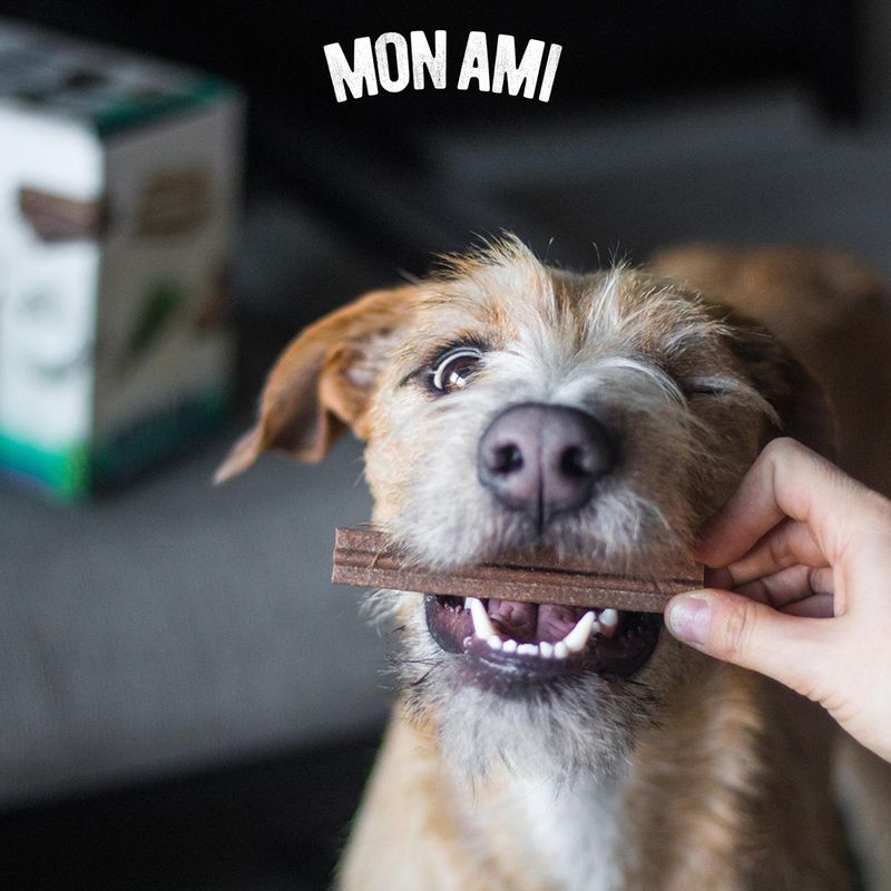 Dental-Mon-Ami-Individual-Stick-Small-233014-3.jpg