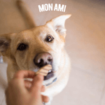 Snack-Mon-Ami-Sabor-Pollo-Grille-400-Gr-233056-5.png