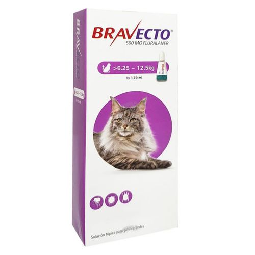Bravecto Gato Spot On Grande