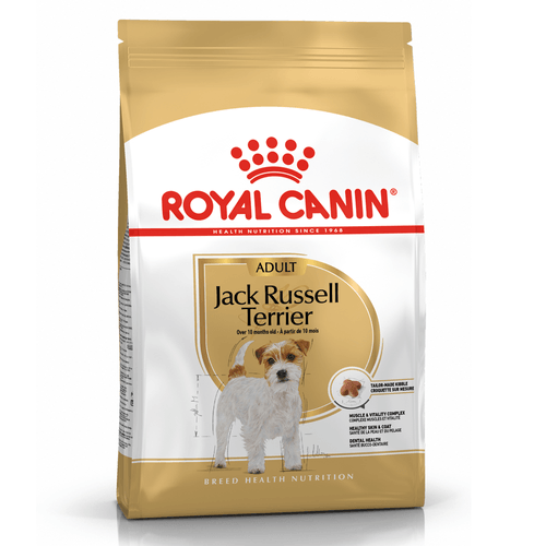 Alimento Royal Canin Jack Russell Adulto