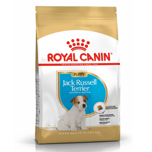 Alimento Royal Canin Jack Russell Cachorro