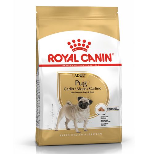 Alimento Royal Canin Pug Adulto
