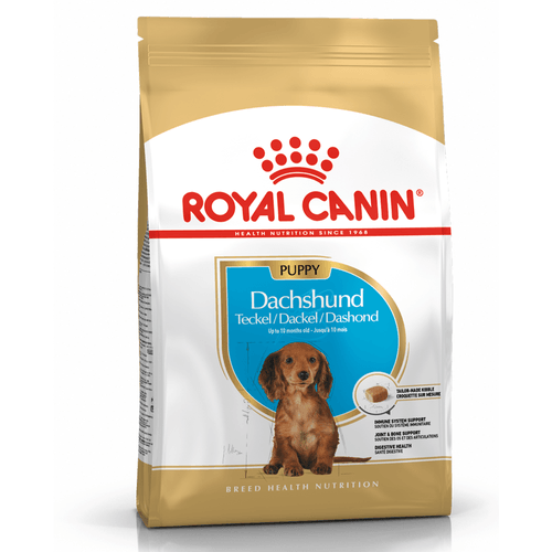 Alimento Royal Canin Dachshund Cachorro