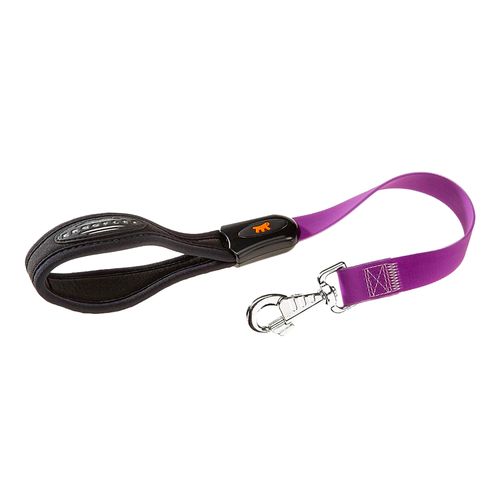 Correa Ferplast Evolution GM Violeta