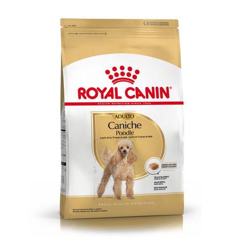 Alimento Royal Canin Caniche Adulto - 1 Kg