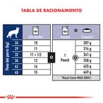 156296-5