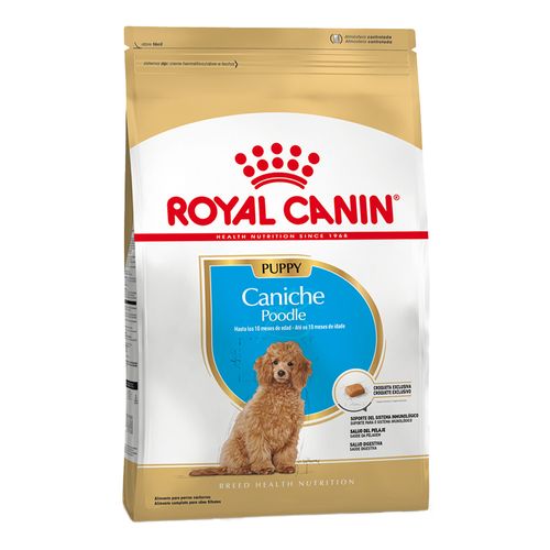 Alimento Royal Canin Caniche 33 Junior