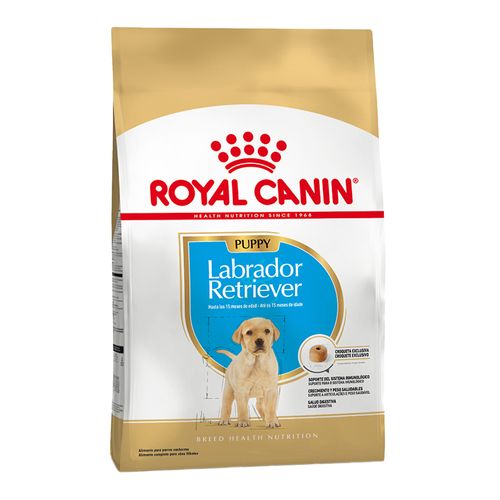 Alimento Royal Canin Labrador Retriever Junior