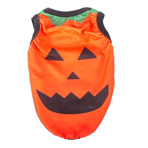Disfraz Puppis Halloween Calabaza