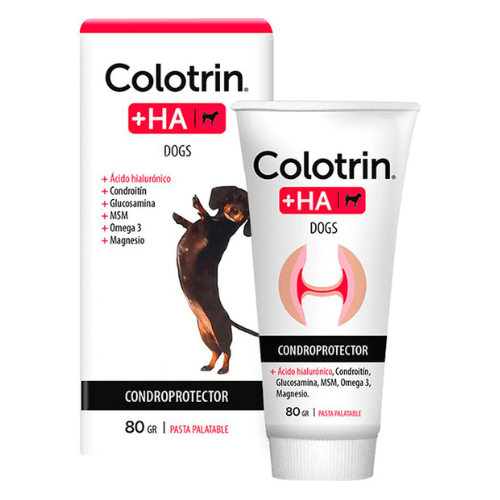Colotrin +HA Perro Pasta 80g John Martin