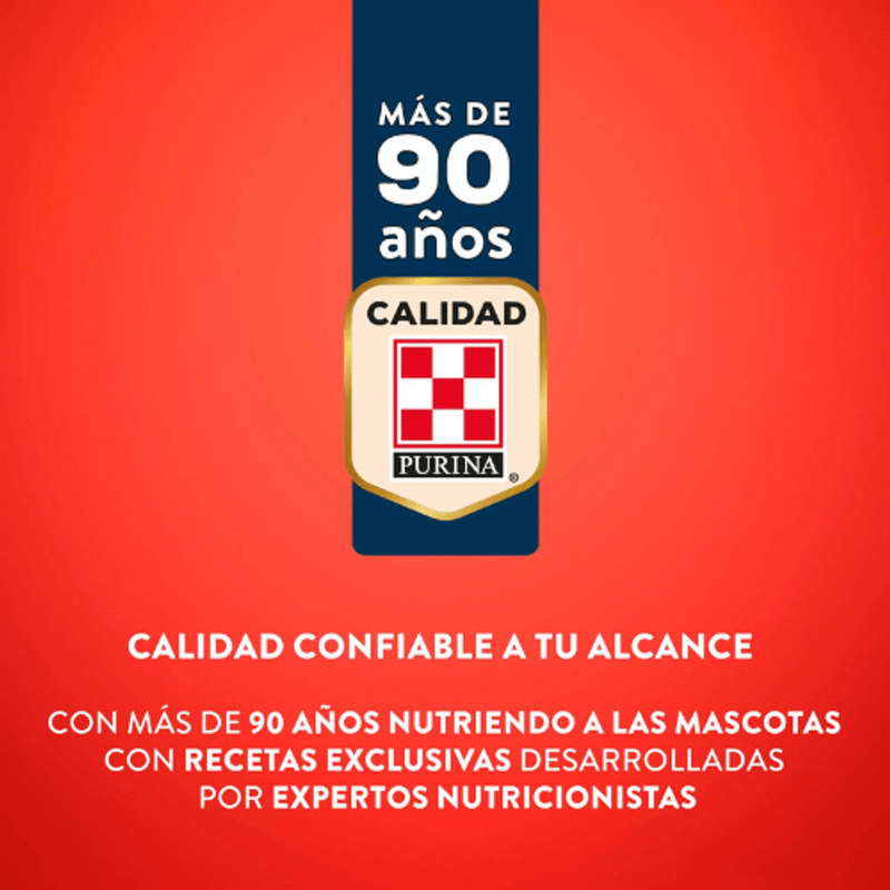 Foto-Principal--11-