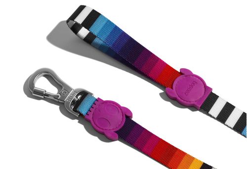 Correa Zeedog Prisma Multicolor