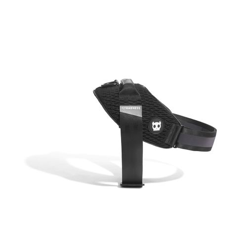 Arnes Zeedog Fly Gotham Negro