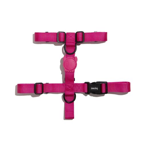 Arnes Zeedog Led Rosa