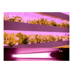 225024
