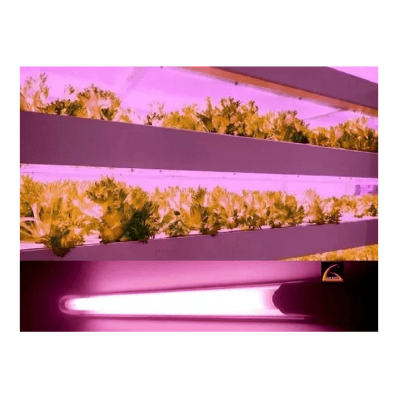225024