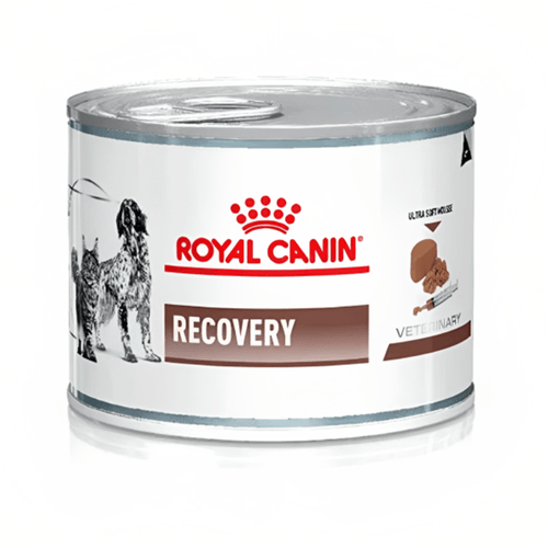 Lata Royal Canin Recovery Perro y Gato