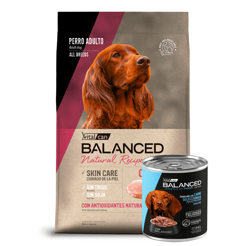 Alimento VitalCan Balanced Natural Recipe Cerdo