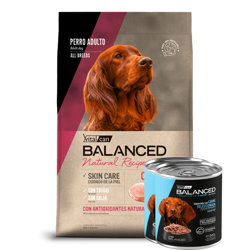Alimento VitalCan Balanced Natural Recipe Cerdo