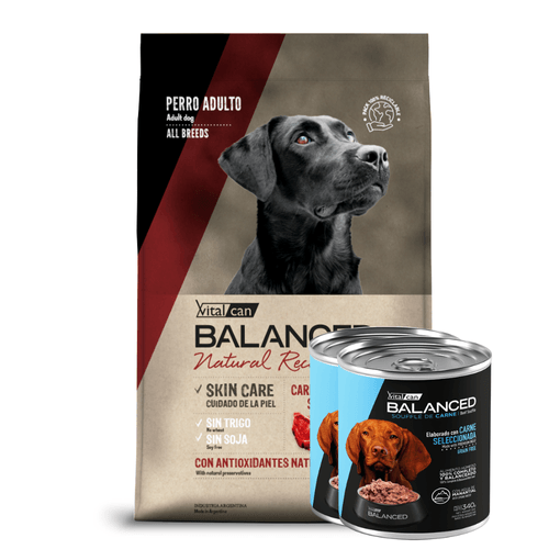 Balanced Natural Recipe Carne Perro Ad